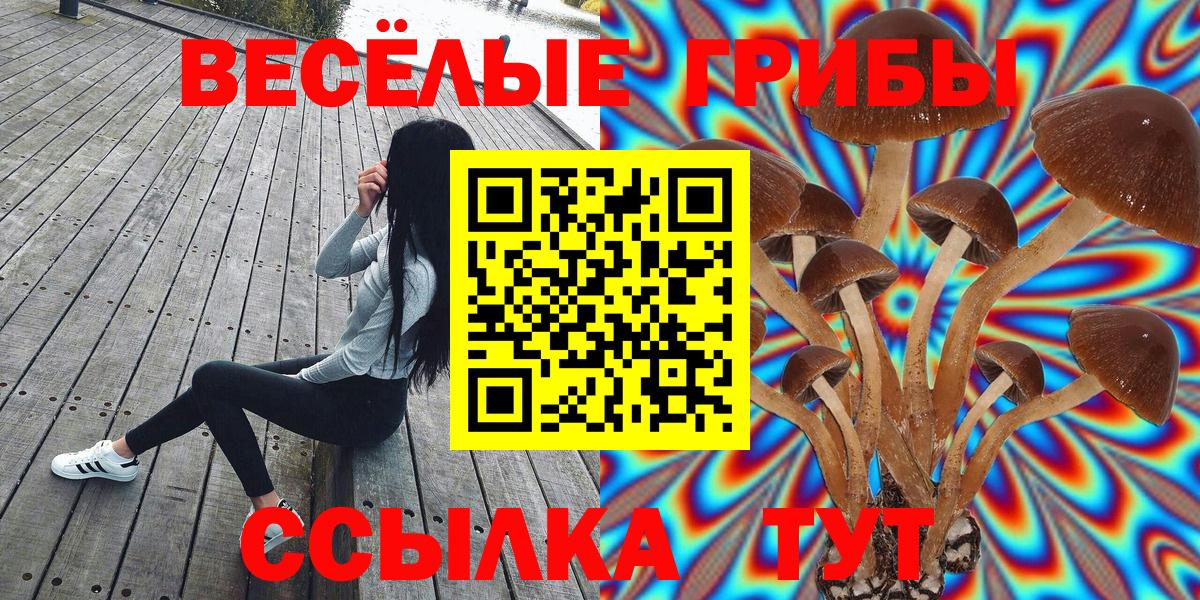 Галлюциногенные грибы прущие грибы Холмск